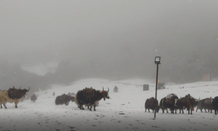 tengboche in a snowstorm, Nepal 2019